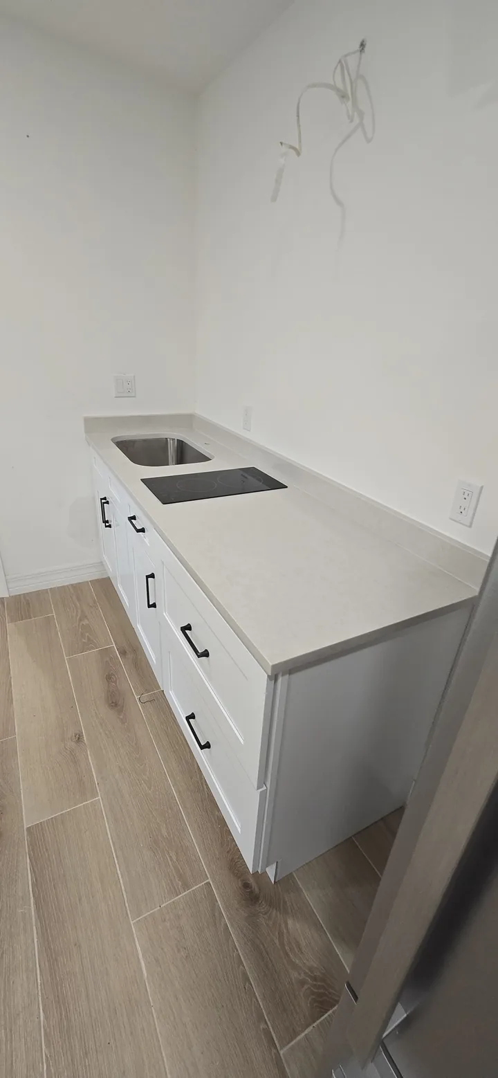 Kitchenette counter with sink and cooktop in Wesley Chapel